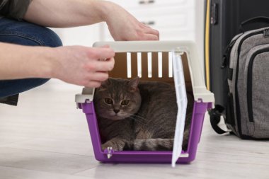 Evcil hayvanla seyahat et. Taşıyıcının yanında sevimli kedisi olan adam, yakın plan.