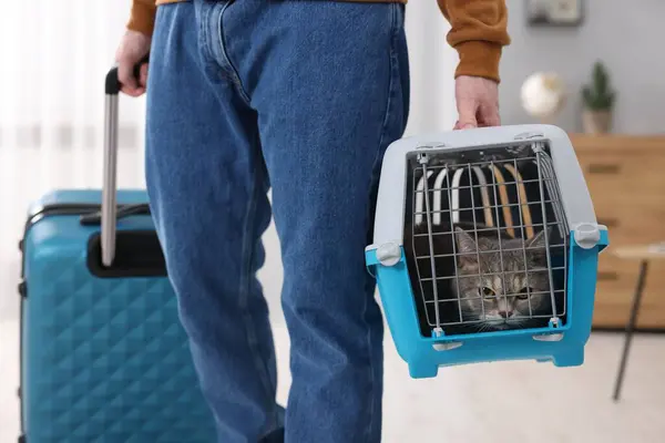 Travel with pet. Man holding carrier with cute cat and suitcase at home, closeup