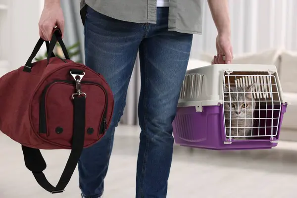 Travel with pet. Man holding carrier with cute cat and bag at home, closeup