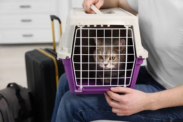 Travel with pet. Man holding carrier with cute cat indoors, closeup