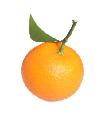 Taze taze, sulu mandalina ve beyaz yapraklı yeşil yaprak.