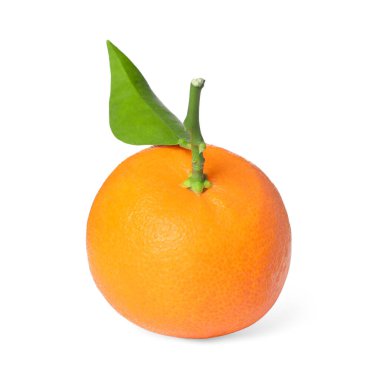 Taze taze, sulu mandalina ve beyaz yapraklı yeşil yaprak.