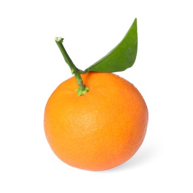 Taze taze, sulu mandalina ve beyaz yapraklı yeşil yaprak.