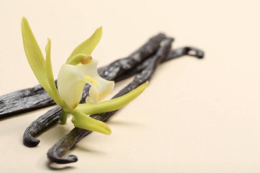 Vanilya kabukları ve bej arka planda güzel bir çiçek, yakın plan. Metin için boşluk