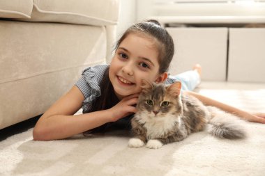 Evdeki halıda kedisi olan sevimli küçük bir kız. İlk hayvan