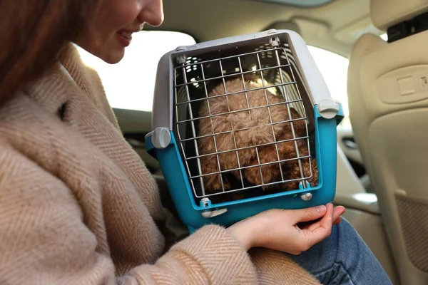 Woman with pet carrier travelling with dog her by car, closeup