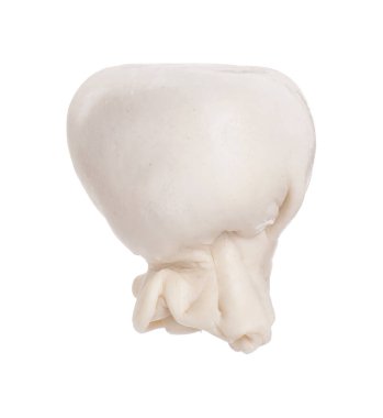 Beyaz üzerine pişmemiş khinkali (hamur tatlısı). Gürcistan mutfağı