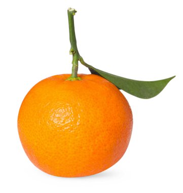 Taze taze, sulu mandalina ve beyaz yapraklı yeşil yaprak.