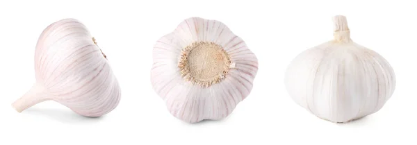 Fresh Garlic Bulbs Isolated White Set — Stock Photo, Image