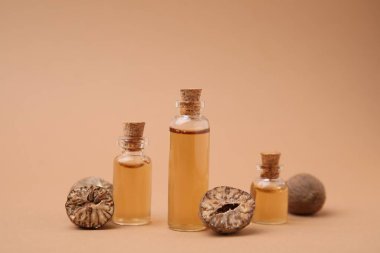 Nutmeg bej arka planda gerekli yağ ve fındık