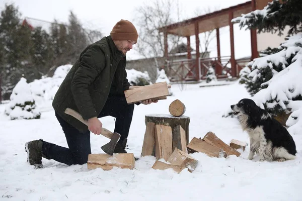 Kışın açık havada sevimli bir köpeğin yanında baltayla odun kesen bir adam.