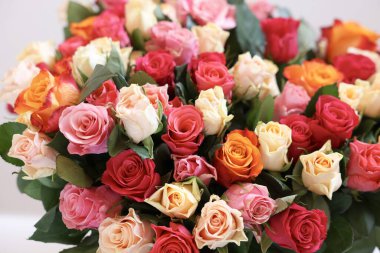 Açık gri arkaplanda güzel güller, yakın plan.