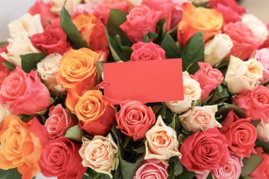 Boş kartla güzel güller, yakın plan.