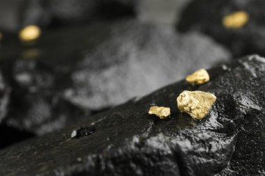 Islak taşın üzerinde parlak altın külçeler, yakın plan. Metin için boşluk