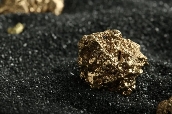 Shiny gold nugget on black sand, closeup. Space for text