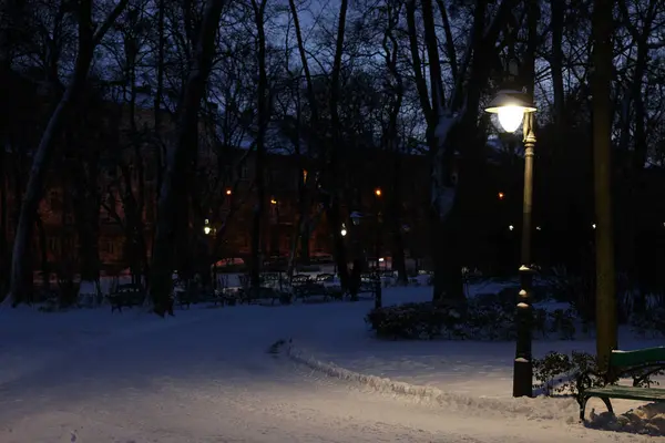 Trees, street lamp and pathway covered with snow in evening park