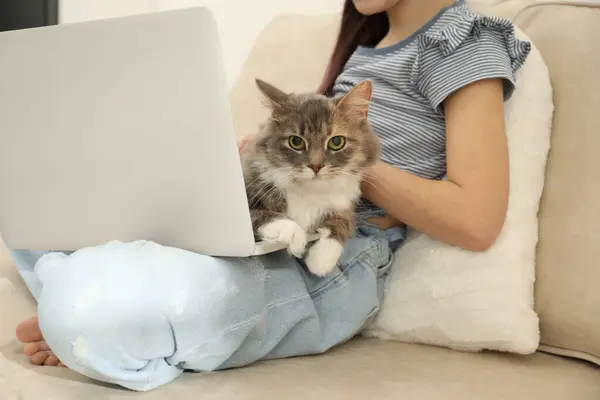Cute little girl with laptop and cat on sofa at home, closeup. First pet