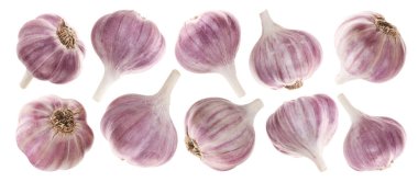 Taze sarımsak soğanları beyaza izole edilmiş.