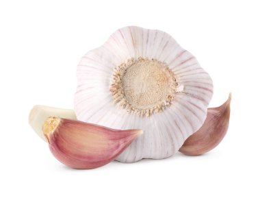 Taze sarımsak soğanı ve karanfil beyaza izole edilmiş.