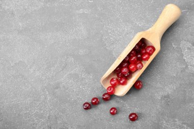 Gri masadaki taze kızılcıklı kepçe, üst manzara. Metin için boşluk