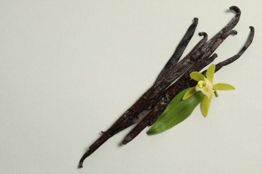 Vanilya kabukları, güzel çiçek ve açık gri arka planda yeşil yaprak, üst manzara. Metin için boşluk