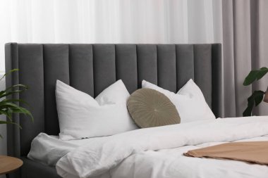 Şık bir yatak odasında büyük bir yatak ve bitkiler. İç tasarım