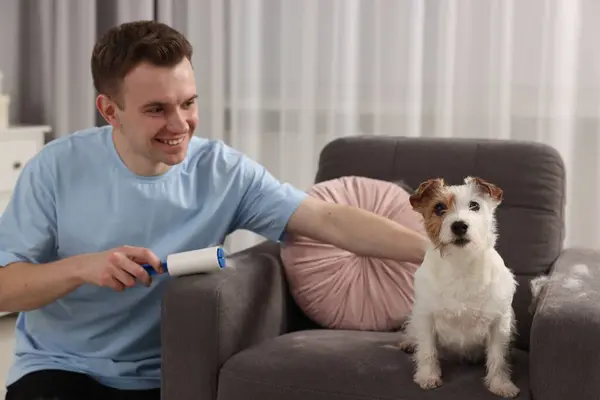 Smiling man removing pet\'s hair from armchair at home