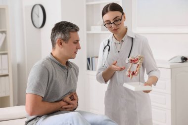 Klinikteki kalın bağırsak danışmanlığı yapan hastanın anatomik modeline sahip bir gastroenterolog.