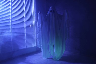 Ürkütücü hayalet. Pencerenin yanında, mavi ışıkla kaplanmış kadın.