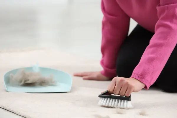 Woman with brush removing pet hair from carpet at home, closeup. Space for text