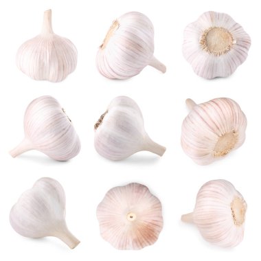 Taze sarımsak soğanları beyaza izole edilmiş.