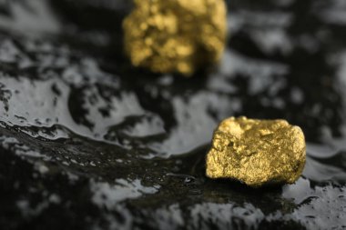 Islak taşın üzerinde parlak altın külçeler, yakın plan. Metin için boşluk