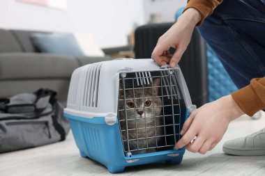 Evcil hayvanla seyahat et. Evde kedisi olan bir adam yaklaşıyor, yakın plan.