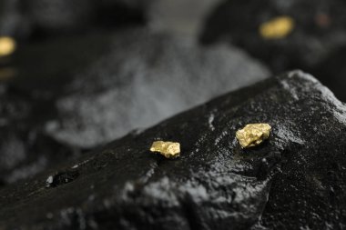 Islak taşın üzerinde parlak altın külçeler, yakın plan. Metin için boşluk