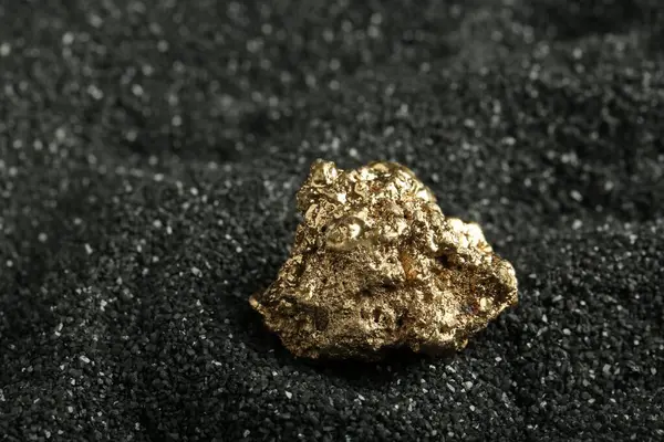Shiny gold nugget on black sand, closeup. Space for text