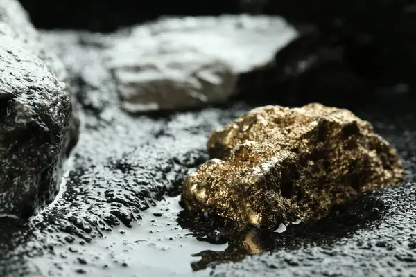Shiny gold nugget on wet stones, closeup. Space for text