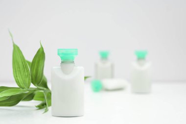 Mini bir şişe kozmetik ürünü ve arka planda yeşil bir dal. Metin için boşluk