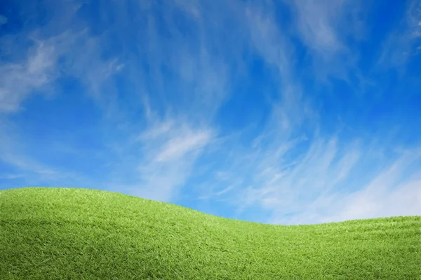 Lush green grass under blue sky with clouds