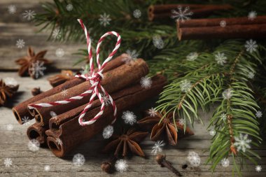 Farklı baharatlar ve ağaç dalları ahşap masada, yakın plan. Tarçın, anason, karanfil