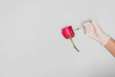 Doktor açık gri arka planda yükselmek için enjeksiyon yapıyor, üst görüş. Metin için boşluk