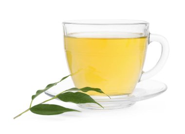 Taze yeşil çay fincanda, yapraklar ve çay tabağı beyazda izole.