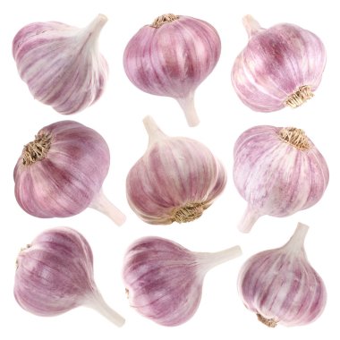 Taze sarımsak soğanları beyaza izole edilmiş.