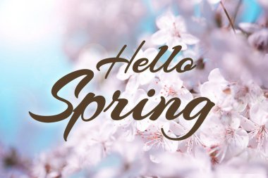 Merhaba, güzel kiraz ağacıyla bahar kartı tasarımı.