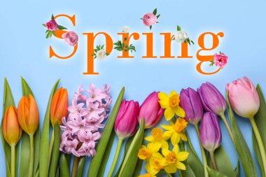 Açık mavi arka planda güzel çiçekli bahar kartı tasarımı, düz yatıyordu.