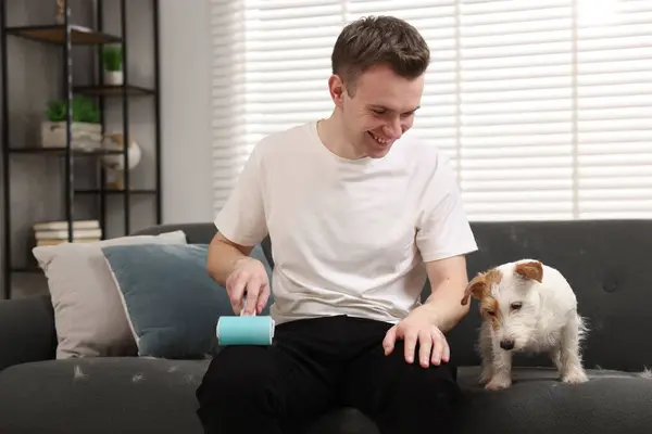 Pet shedding. Smiling man with lint roller removing dog\'s hair from pants at home