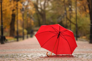 Sonbahar parkında asfalt yolda açık kırmızı şemsiye, metin için boşluk