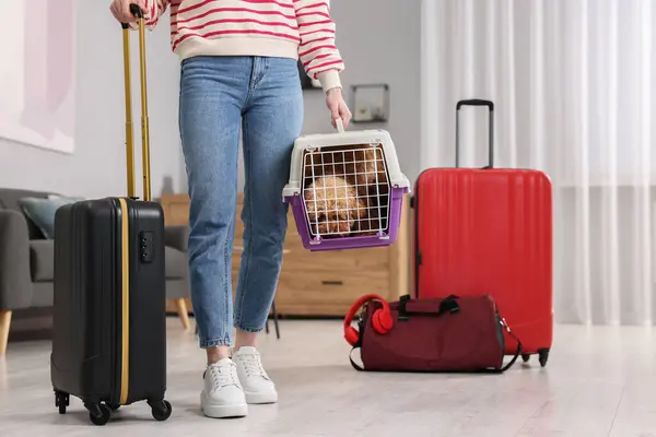 Travel with pet. Woman holding carrier with dog and suitcase at home, closeup. Space for text