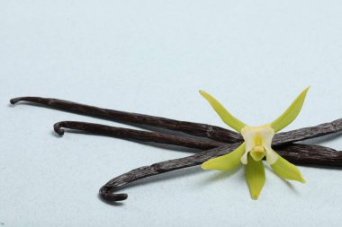 Vanilya kabukları ve arka planda güzel çiçekler, yakın plan. Metin için boşluk