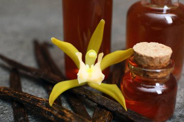 Aromatik vanilya özü, kapsüller ve çiçekler gri masada, yakın plan.