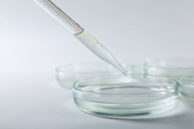 Işık arka planında pipetten petri kabına sıvı damlıyor, yakın plan